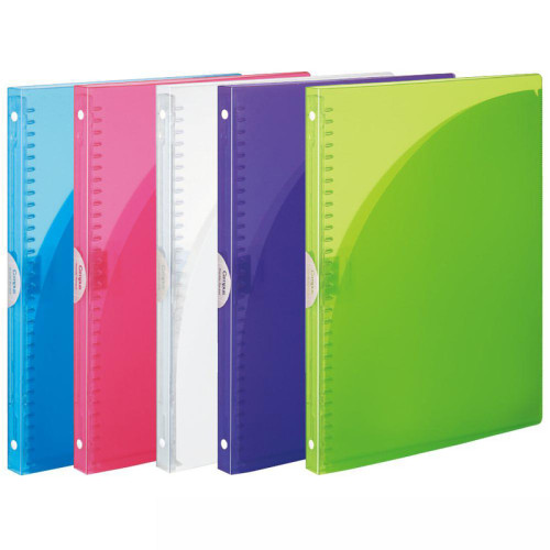 2021 custom A4 clear plastic 30 hole ring binder