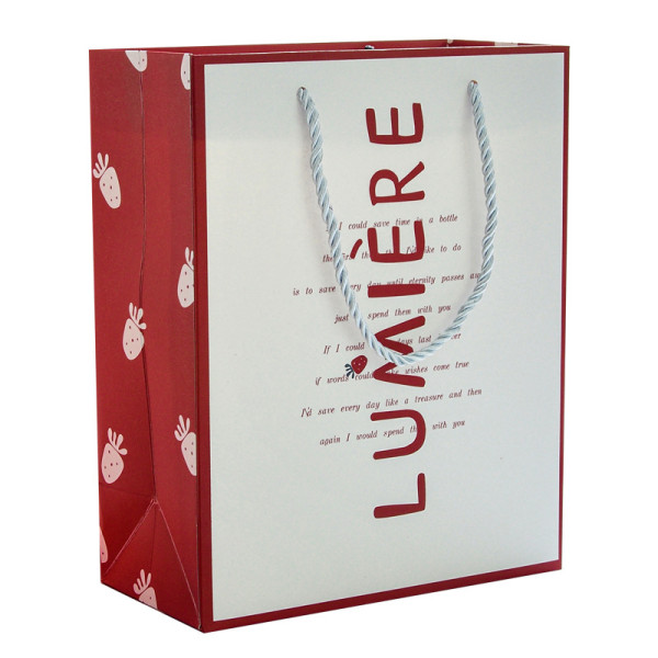 Wholesale Cheap Price Luxury Famous Brand Gift Custom Printed Shopping Paper Bag With Your Own Logo