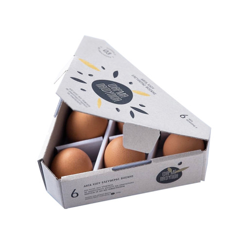 Eco Friendly Carton Cardboard 6 Pieces Egg Paper Gift Packing Boxes With Foam