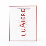 Wholesale Cheap Price Luxury Famous Brand Gift Custom Printed Shopping Paper Bag With Your Own Logo