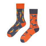New Creative Personality Men and Women Couple Trendy Socks Fashion Cartoon Trend In Tube Cotton Socks Trendy Brand Men's Socks
