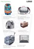 Custom your pet products catalogs for free