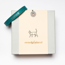 Custom logo 2 pieces cardboard toys dog collar gift packaging box for pet accessories