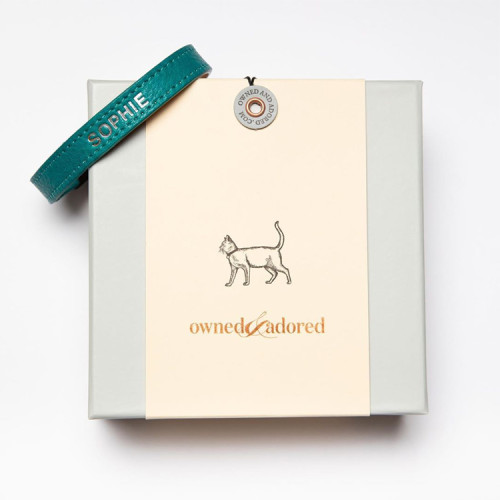 Custom logo 2 pieces cardboard toys dog collar gift packaging box for pet accessories