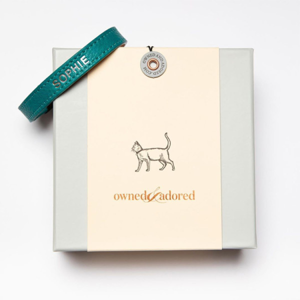 Custom logo 2 pieces cardboard toys dog collar gift packaging box for pet accessories