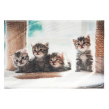 polyester fleece high penetration digital printed sublimation throw blankets