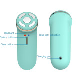 Home Use Face Massage Facial Beauty Machine Two Colors EMS Ion Importing Instrument