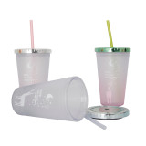 2021 New Arrive 16oz Double Wall Insulated Opacity Electroplating lid Plastic With Lid Straw