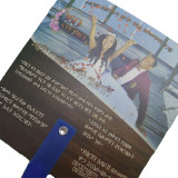 China manufacturer promotional pvc fan plastic fan advertising customized plastic hand fan