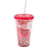 Customized 16Oz Water Proof Double Walled Ps Insulated Plastic Water Bottle With Straw Lid