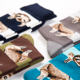 Bradypod Animal Striped Design Cute Cotton Fashion Funny Woman Custom Leisure Wholesale Happy Socks