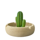 Mini succulent originality with custom logo smokeless  cigar  Furnishings ashtray cactus ashtray