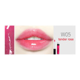 Wholesale ARTMISS Makeup Cosmetics Moisturizing Lip Gloss
