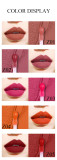 Wholesale Custom waterproof matte liquid lipstick velvet plumping cosmetic lipgloss Matte Nude private label lip gloss pigment