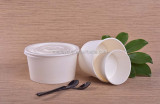 Hot sell disposable biodegradable eco friendly sustainable ice cream paper packaging container box with plastic lids tubs