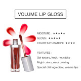 Cosmetics Private Label Manufacturers Distributor Makeup Supplier Liquid Lipstick Custom Full Plump Lip Gloss