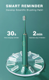 Wholesale Manufacturer Sonic Automatic Electric Toothbrush for Adult Use