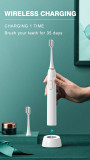 Factory price 5 modes toothbrush holder electronic toothbrush with IPX7