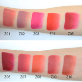 Wholesale Waterproof Long Lasting Matte Lipgloss Private Label Clear Lip Gloss Vendor Liquid 3 Years 10 Colors Priavte Logo 3pcs