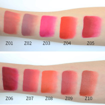 Wholesale Custom waterproof matte liquid lipstick velvet plumping cosmetic lipgloss Matte Nude private label lip gloss pigment