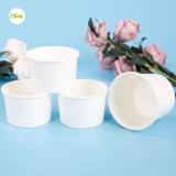 Frozen yogurt ice packaging ice cream containers cups size plastic with lid wholesale