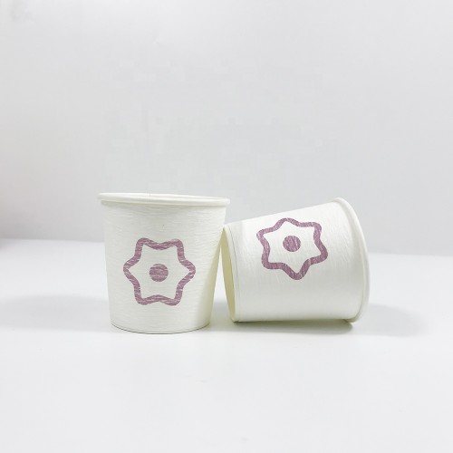 Customized 2oz 2.5 oz tasting ice cream cup disposable paper