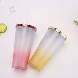 24oz Reusable Straw Lid Double Wall Insulated  Opaque polychrome Plastic PS Sublimation Tumblers In Bulk