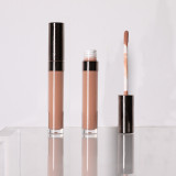 Makeup Lip Gloss High Quality Lipgloss DIY Make Your Own Private Label versagel lip gloss  base