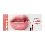 Wholesale ARTMISS Makeup Cosmetics Moisturizing Lip Gloss