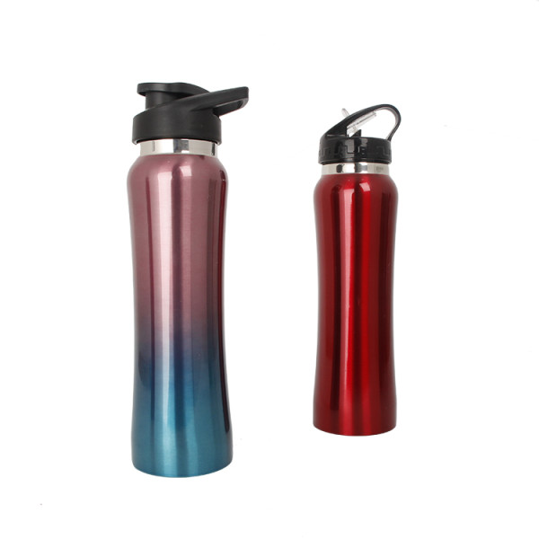 2021 New 750ml  Customized Logo Gradient Color Single Walled Stainless Steel bottle  304 Stainless Steel Tumbler  For Sports