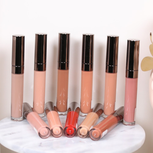 OEM custom makeup liquid lipstick lip gloss Private Label vegan Lip Gloss Vendor