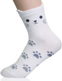 Bulk Wholesale Girl Spring Comfortable Cute Bear Palm Print Colorful Novelty Happy Socks
