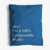 Wholesale Custom Printing LOGO Plastic Poly Mailing Packaging Green Shipping Envelopes Postal Factory Courier Mailing Bags