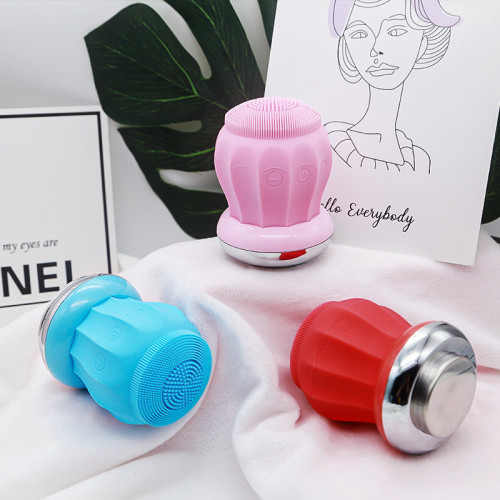 NEW Products USB Recharge Skin Care  Facial Cleansing Brush And Massage
