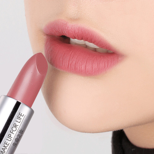Wholesale Or OEM Lip Makeup High Pigment Private Label Matte Lipstick