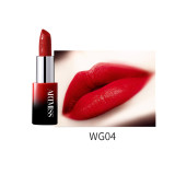 ARTMISS Hot selling lip Cosmetics 4 colors Lip stick Matte Lipstick