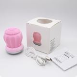 NEW Products USB Recharge Skin Care  Facial Cleansing Brush And Massage