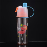 Spray Mist Sip Water Bottle