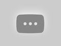 Women leopard jacquard cotton shallow mouth socks animal cute low cut socks wholesale