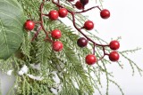 2020 New Design High Quality Christmas PE White Wreath For Holiday Wedding Party Decoration Supplies Hook Ornament Craft Gifts
