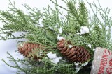 2020 New Design High Quality Christmas Branches For Holiday Wedding Party Decoration Supplies Hook Ornament Craft Gifts