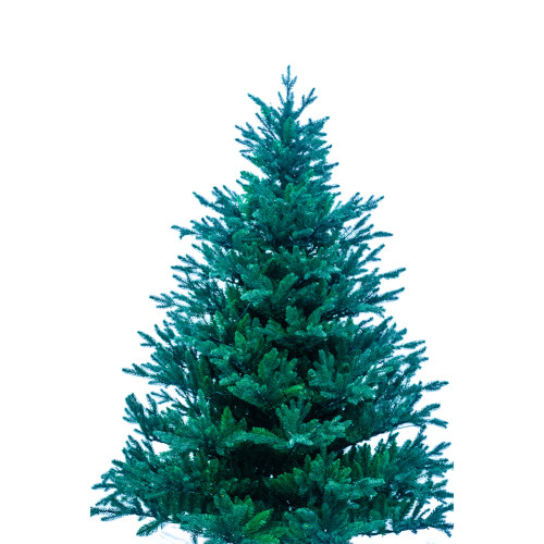 10Ft 11Ft 12Ft White Artificial Tinsel Metal Stand PE Mixed PVC Christmas Trees
