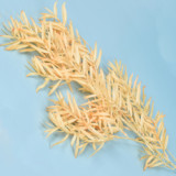 2021 Best Selling Artificial Flowers Decoration Multicolor Simulated Bamboo Leaves For Home Decoration