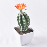 New products Originally designed and produced factory price and high quality white pot artificial potted cactus