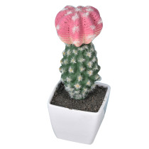 2021Antique Emulation Cactus Plant Pot Simulation Desert Plant Artificial Succulent Potted Plant For Store Decoration