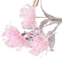 Single pin cushion flower simulation Epiphyllum plastic Claw Chrysanthemum wedding flower arrangement wholesale manufacturers