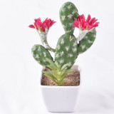 New products Originally designed and produced factory price and high quality white pot artificial potted cactus