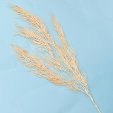 Factory Direct Sales Modern Home Decoration Flower Arrangement Supplies Decoration Simulated Phoenix Tail leaf