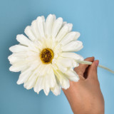 Simulated single support Fulang flower Africa chrysanthemum Persian chrysanthemum rich chrysanthemum project living room garden