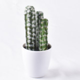 New products Originally designed and produced factory price and high quality white pot artificial potted cactus